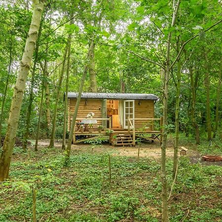 Woodland Retreat Shepherds Hut Villa Brundish Exterior foto